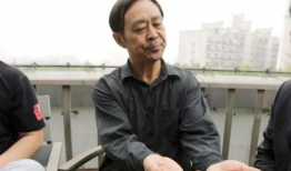 马保国视频,传统武术与现代搏击的碰撞与反思